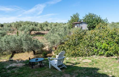 Suite Premium en la naturaleza - Foto 24