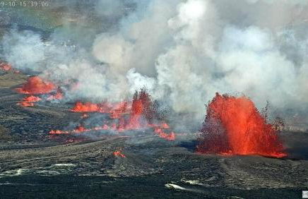 The Red Cottage and Hawaiian Pond Garden Paradise! - Foto 8