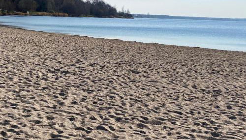 SeeZauber- gemütliche Ferienwohnung, Privatparkplatz, Cospudener See - Foto 3