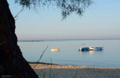 Masseria Giustiniani - Foto 49