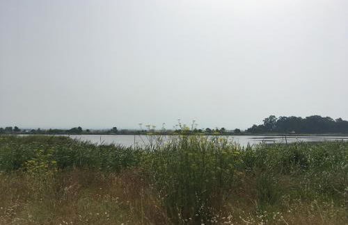 Moradia próxima da praia do Areinho, na Ria, e praia dos Marretas - Foto 34