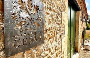 Clos César, Maison de charme rénovée - Foto 72