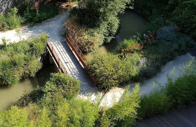 Iles du Gua Suites - Photo 65