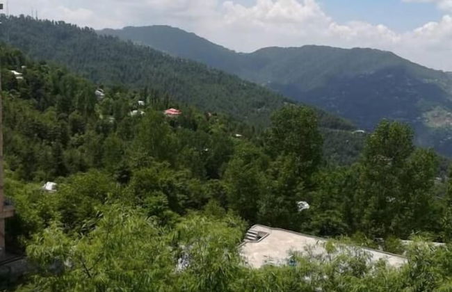 Green Valley Apartments - Photo 23