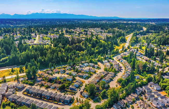 Goblin's D&D House Cinema Board Games - Photo 64