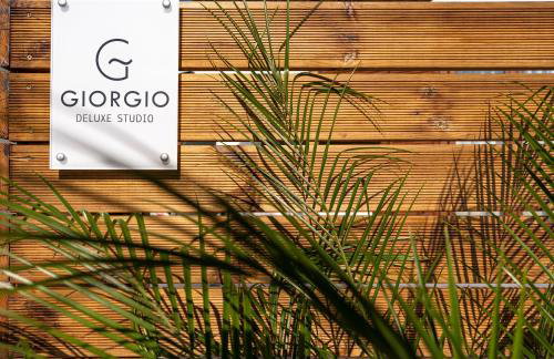 Giorgio Deluxe Studio - Foto 19