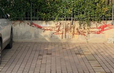 Casa Paslawski - Foto 17