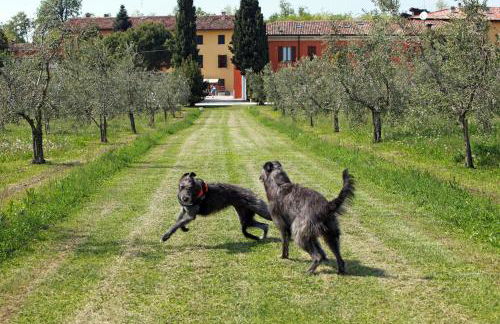 Agriturismo La Filanda - Foto 95