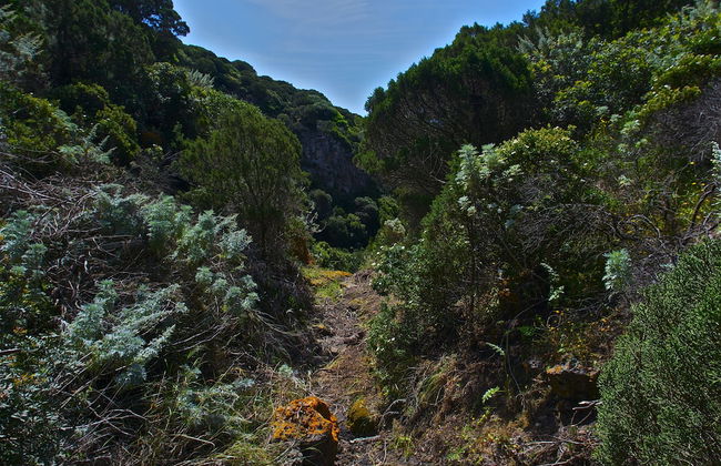 Poecylia Resort - Photo 28