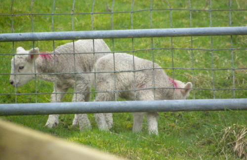 Shay Bank Cottage - Foto 26