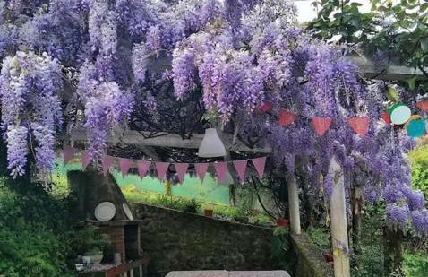 Casita de campo cerca de playas. - Foto 30