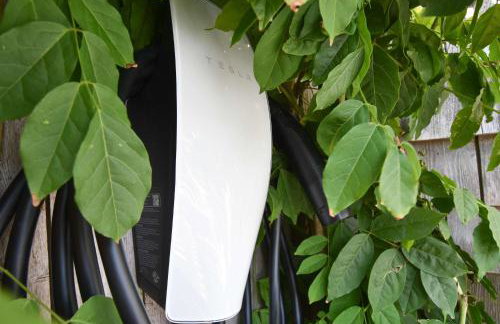 4 min Walk to Commercial Street and Beach - Foto 31