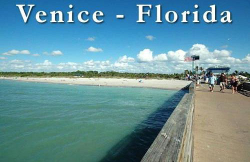 Great shape after Milton -Gorgeous Pool! - os - Photo 32