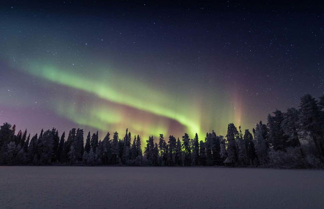 Finnish Sauna, Ice Swimming + Dinner - Photo 15