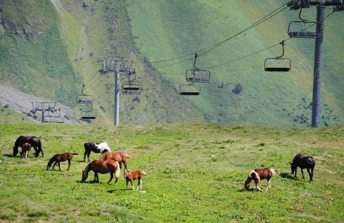Appartement 4 à 6 Couchages - PIAU ENGALY - Pied des Pistes - Foto 27