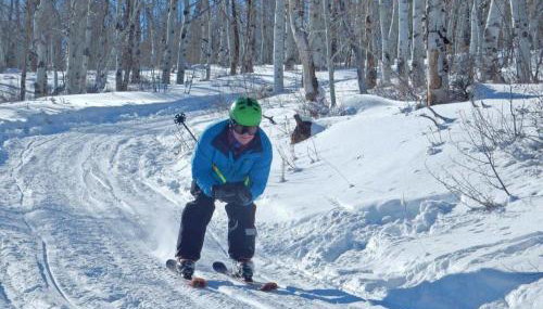 Whistle Pig Retreat at 22 West Cabins and Recreation - Foto 4