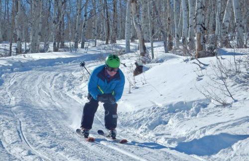 Whistle Pig Retreat at 22 West Cabins and Recreation - Foto 4