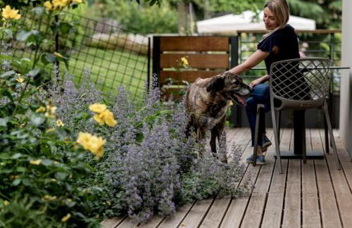 Villa Carla Suites in Barolo - Foto 31