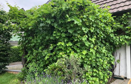 Bel Art Etage mit großem Parkplatz - Foto 32