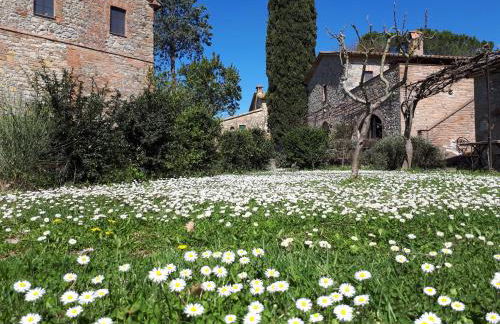 Agriturismo Borgo Santa Maria - Foto 20