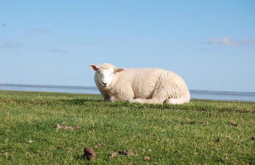 Alte Pastorei Minsen - Photo 18