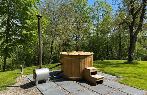 Forest Inn Berest - Foto 11