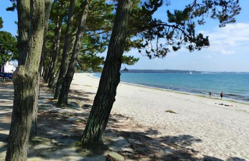 Ty An Traon gite 10 p 4km Benodet - Foto 15