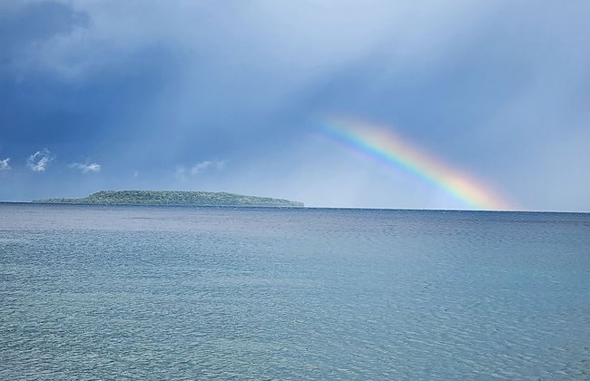 Million Dollar View Bayshore Beach House - Foto 34