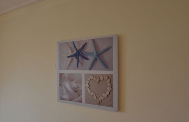 Apartment in Bergen aan Zee With Roof Terrace - Photo 18