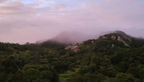 Solar Serra Negra Bezerros - PE - Foto 4