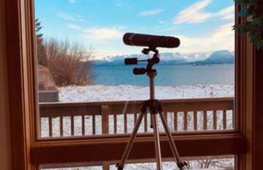 Bay Bluff Haven with an ocean view - Foto 15