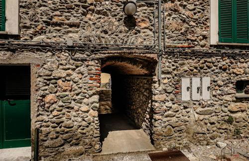 Outdoor Apt - Free Park - Bike Shuttle 3min - Foto 24