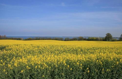 Moderne Ferienwohnung in Kluetz in Strandnahe - Foto 48