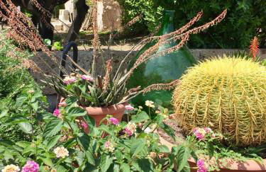 Villa lilly - Foto 18