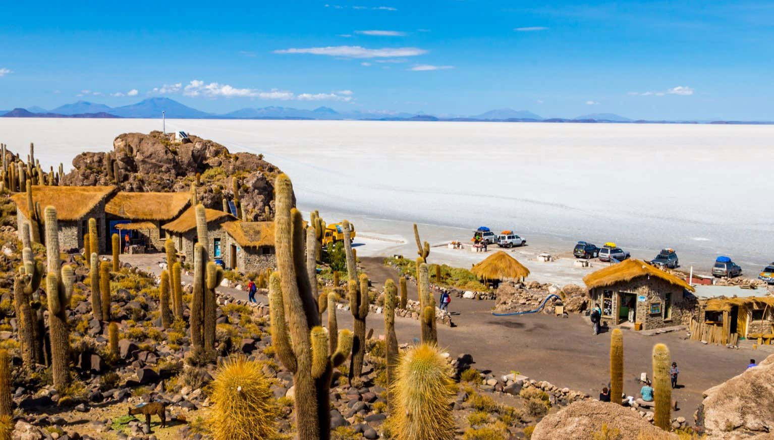 Salar de Uyuni Day Trip - Foto 1