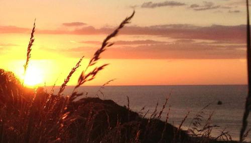 La Maison Bleue - Photo 4