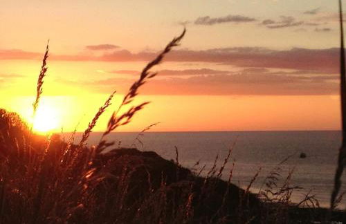 La Maison Bleue - Photo 4