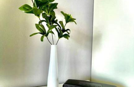 Ferienwohnung Studio Belvedere - Photo 28