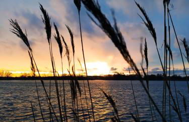 Ferienwohnung "Alte Fischerei" - Foto 24