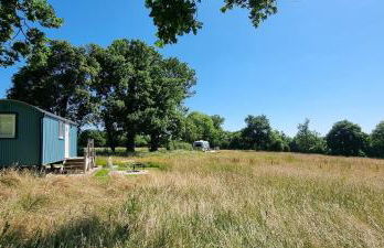 Wild Spa Cottage - Foto 24