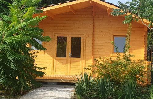 Serce Puszczy Wiartel - Foto 3