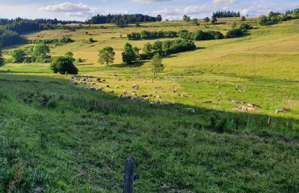 Les gîtes Estaou Treillo - Foto 37