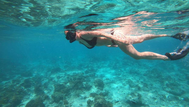 Snorkelling in Gili Meno - Foto 4