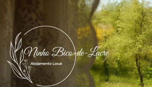 Ninho Bico-de-Lacre ~ o paraíso é a/na Terra - Foto 4