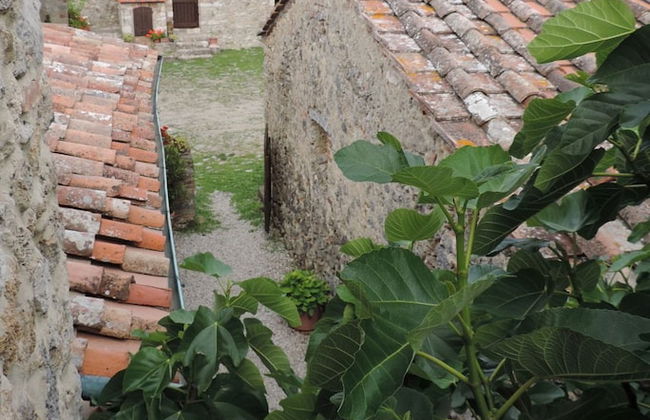 Agriturismo Colli di Travale - Foto 58