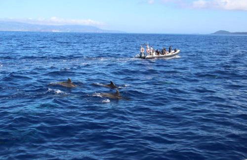 Cantinho dos Cagarros - Photo 26