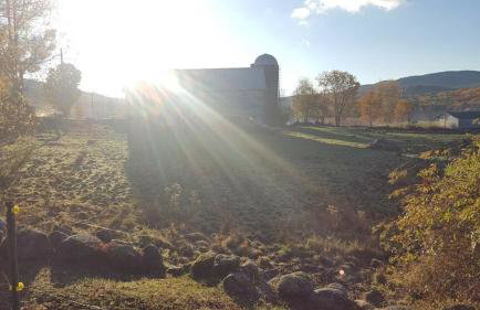 Deer Valley Retreat, Lovely Log Cabin with Fireplace & Garden Views- Perfect for a Relaxing Getaway! - Foto 40