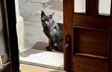 Dream house, 80M2, Fresco painting on the vault - Foto 30