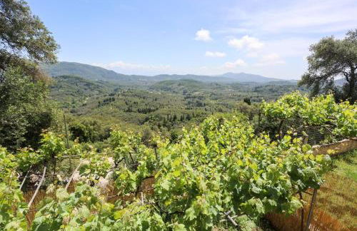 Roberta House - Foto 45