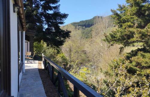 El Nial de Los Pinos - Photo 14